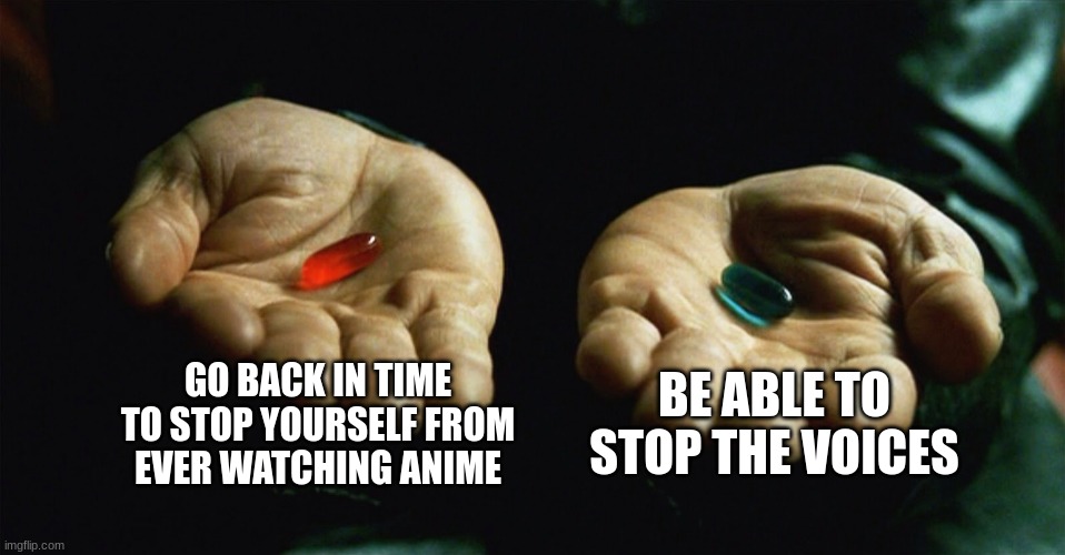 Red pill blue pill | GO BACK IN TIME TO STOP YOURSELF FROM EVER WATCHING ANIME; BE ABLE TO STOP THE VOICES | image tagged in red pill blue pill | made w/ Imgflip meme maker