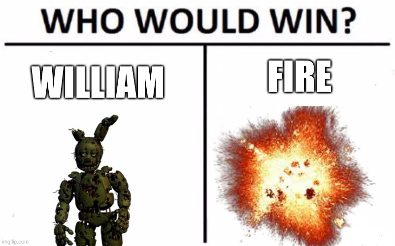 Who Would Win? Meme | FIRE; WILLIAM | image tagged in memes,who would win | made w/ Imgflip meme maker