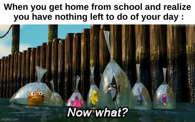 who else | When you get home from school and realize
 you have nothing left to do of your day : | image tagged in memes,relatable,school,now what,home,front page plz | made w/ Imgflip meme maker