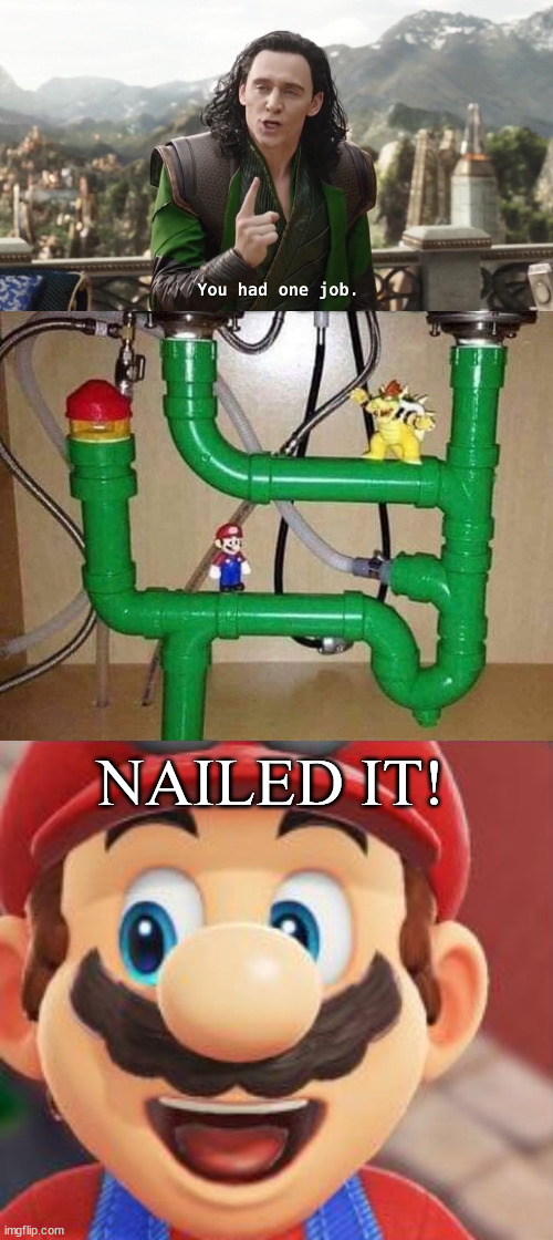 Perfect plumbing job | NAILED IT! | image tagged in you had one job just the one,happy mario vs dark mario,plumber,perfection | made w/ Imgflip meme maker