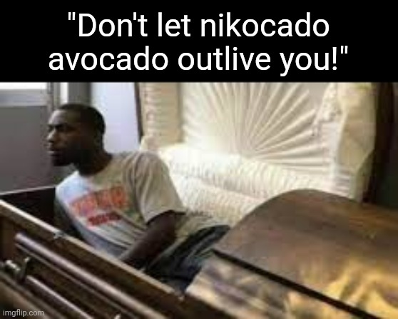 Guy waking up at the funeral | "Don't let nikocado avocado outlive you!" | image tagged in guy waking up at the funeral | made w/ Imgflip meme maker