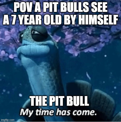 RUN | POV A PIT BULLS SEE A 7 YEAR OLD BY HIMSELF; THE PIT BULL | image tagged in my time has come | made w/ Imgflip meme maker