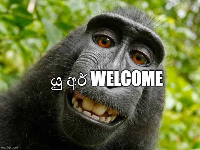 Welcome (In Sri Lanka) | යු අර් WELCOME | image tagged in funny,welcome | made w/ Imgflip meme maker