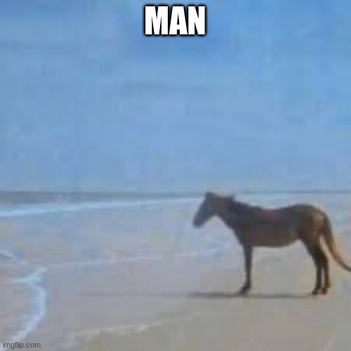 Horse Staring at sea | MAN | image tagged in horse staring at sea | made w/ Imgflip meme maker