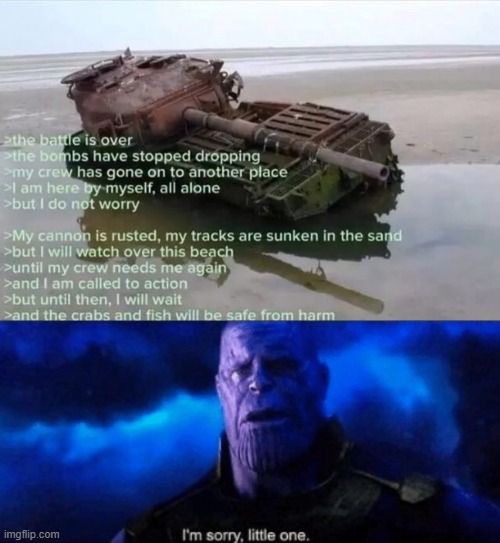 image tagged in im sorry little one,tanks,military,memes | made w/ Imgflip meme maker
