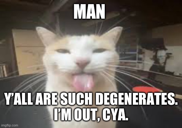 Cat | MAN; Y’ALL ARE SUCH DEGENERATES.
I’M OUT, CYA. | image tagged in cat | made w/ Imgflip meme maker