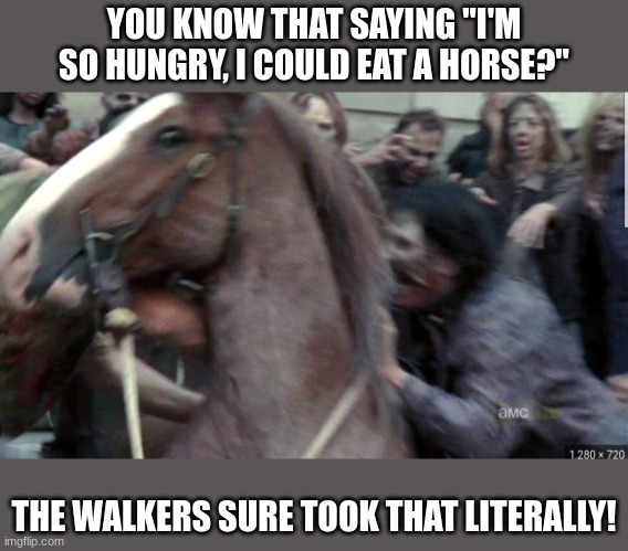 If you know, you know (Also this is my 69th meme!!!) | YOU KNOW THAT SAYING "I'M SO HUNGRY, I COULD EAT A HORSE?"; THE WALKERS SURE TOOK THAT LITERALLY! | made w/ Imgflip meme maker