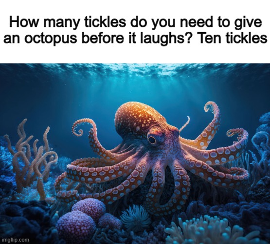 ... | How many tickles do you need to give an octopus before it laughs? Ten tickles | made w/ Imgflip meme maker