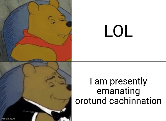 It seems I have discovered your humor and I must now emit laughter | LOL; I am presently emanating orotund cachinnation | image tagged in memes,tuxedo winnie the pooh | made w/ Imgflip meme maker
