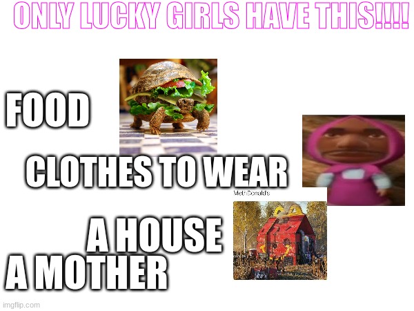 only LUCKY girls have THIS???? | ONLY LUCKY GIRLS HAVE THIS!!!! FOOD; CLOTHES TO WEAR; A HOUSE; A MOTHER | image tagged in funny,girl,lucky,mad | made w/ Imgflip meme maker