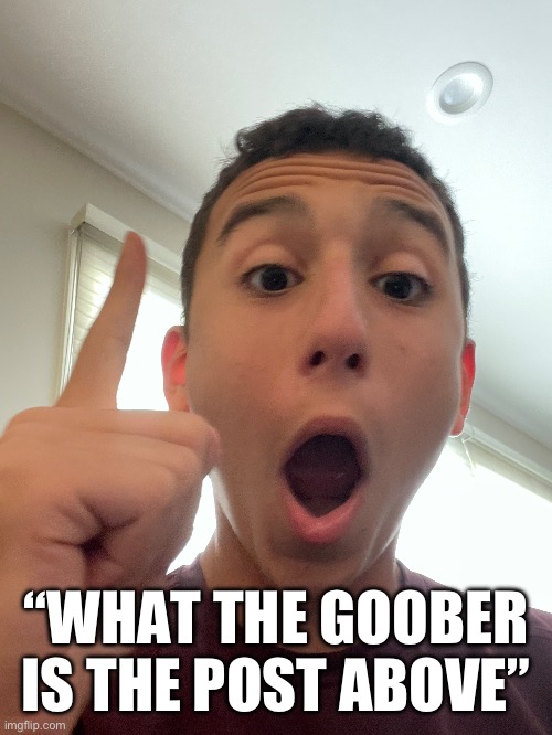 “WHAT THE GOOBER IS THE POST ABOVE” | made w/ Imgflip meme maker