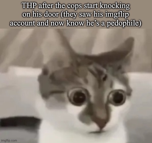 in shock cat 2 | THP after the cops start knocking on his door (they saw his imgflip account and now know he’s a pedophile) | image tagged in in shock cat 2 | made w/ Imgflip meme maker