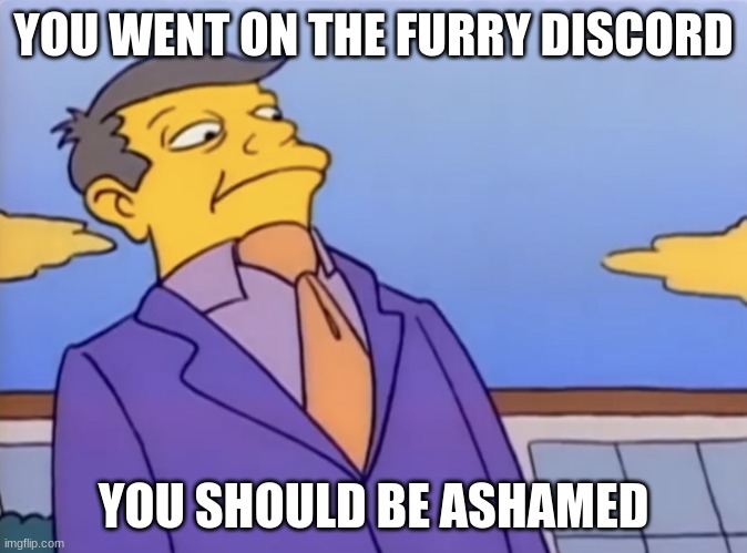 Principle Skinner Pathetic | YOU WENT ON THE FURRY DISCORD YOU SHOULD BE ASHAMED | image tagged in principle skinner pathetic | made w/ Imgflip meme maker