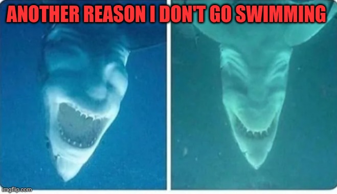 Funny | ANOTHER REASON I DON'T GO SWIMMING | image tagged in funny | made w/ Imgflip meme maker