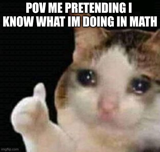 bro i hate math | POV ME PRETENDING I  KNOW WHAT IM DOING IN MATH | image tagged in sad thumbs up cat | made w/ Imgflip meme maker