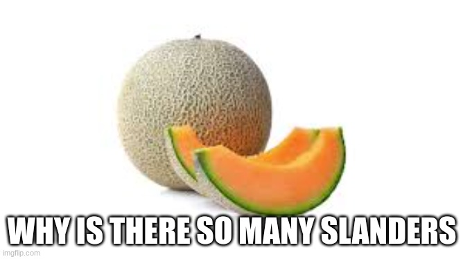 i just got here | WHY IS THERE SO MANY SLANDERS | image tagged in yahiamice cantaloupe | made w/ Imgflip meme maker