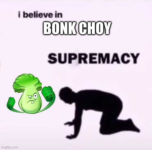 I believe in supremacy | BONK CHOY | image tagged in i believe in supremacy | made w/ Imgflip meme maker