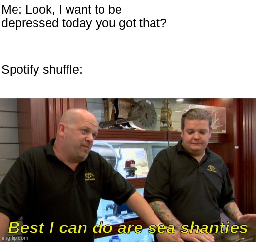 From "I've become so numb" to "WHAT DO WE DO WITH A DRUNKEN SAILOR" | Me: Look, I want to be depressed today you got that? Spotify shuffle:; Best I can do are sea shanties | image tagged in pawn stars best i can do | made w/ Imgflip meme maker
