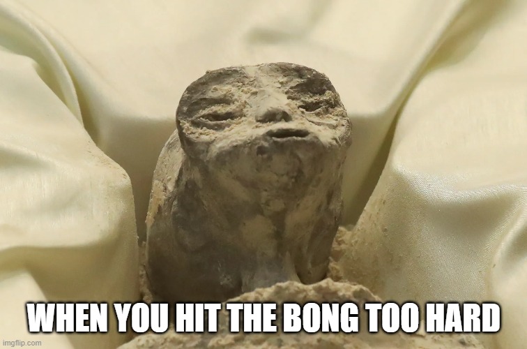 Ayyy lmao | WHEN YOU HIT THE BONG TOO HARD | image tagged in funny,aliens,weed | made w/ Imgflip meme maker