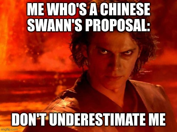 You Underestimate My Power Meme | ME WHO'S A CHINESE SWANN'S PROPOSAL: DON'T UNDERESTIMATE ME | image tagged in memes,you underestimate my power | made w/ Imgflip meme maker