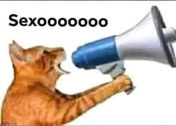 @rapefan | image tagged in sexooooooo | made w/ Imgflip meme maker