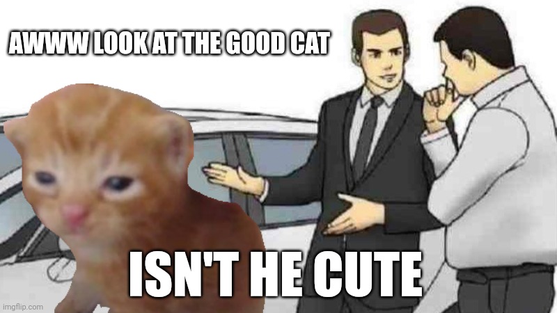 Hi Herbert! | AWWW LOOK AT THE GOOD CAT; ISN'T HE CUTE | image tagged in memes,cat,herbert | made w/ Imgflip meme maker