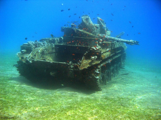 Fish Tank | image tagged in fish tank | made w/ Imgflip meme maker