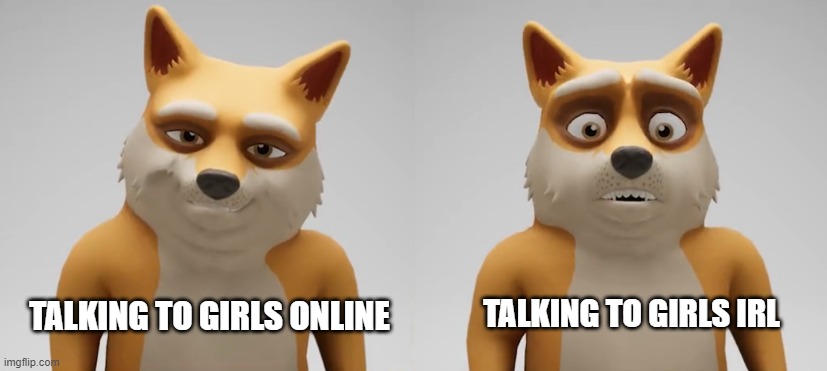 Gamers be like: | TALKING TO GIRLS IRL; TALKING TO GIRLS ONLINE | image tagged in doge,meme,gamers | made w/ Imgflip meme maker