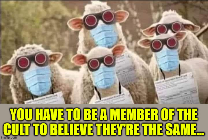YOU HAVE TO BE A MEMBER OF THE CULT TO BELIEVE THEY'RE THE SAME... | made w/ Imgflip meme maker