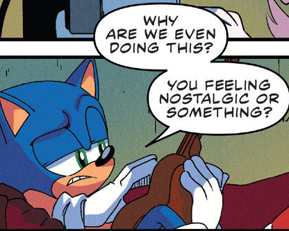 sonic why are we doing this Blank Meme Template