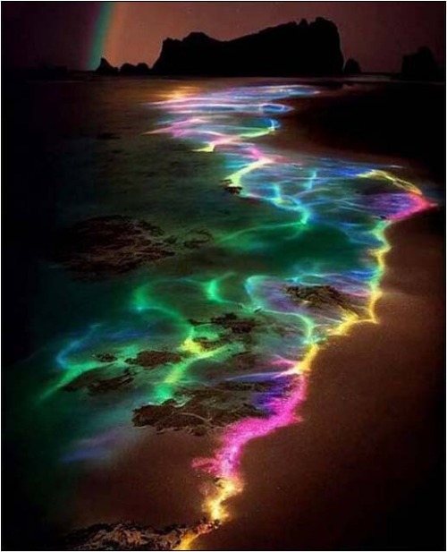 Beach Bio Luminescence ! | image tagged in beach,bio luminescence | made w/ Imgflip meme maker