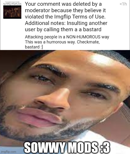 SOWWY MODS :3 | image tagged in lightskin stare | made w/ Imgflip meme maker