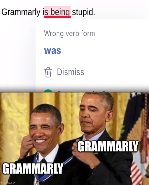 Grammarly here, teaching us all about egotism! | GRAMMARLY; GRAMMARLY | image tagged in obama medal,grammar,stupid | made w/ Imgflip meme maker