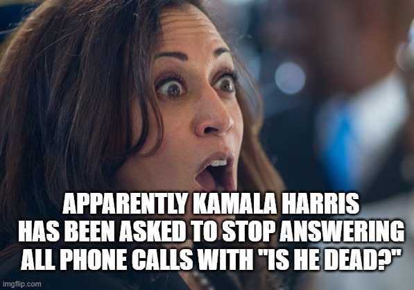 Kamala Harris | APPARENTLY KAMALA HARRIS HAS BEEN ASKED TO STOP ANSWERING ALL PHONE CALLS WITH "IS HE DEAD?" | image tagged in kamala harris | made w/ Imgflip meme maker