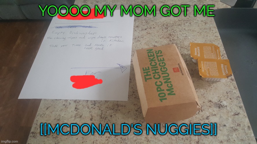 Covered up my deadname lol PANTHERAPIST Note: See normally Id say yay but I work at Chik-fil-A, so you are a traitor | YOOOO MY MOM GOT ME; [[MCDONALD'S NUGGIES]] | image tagged in mcdonalds | made w/ Imgflip meme maker