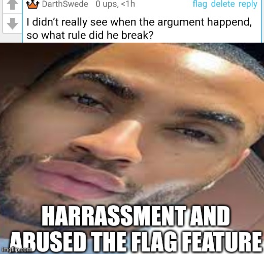 HARRASSMENT AND ABUSED THE FLAG FEATURE | image tagged in lightskin stare | made w/ Imgflip meme maker
