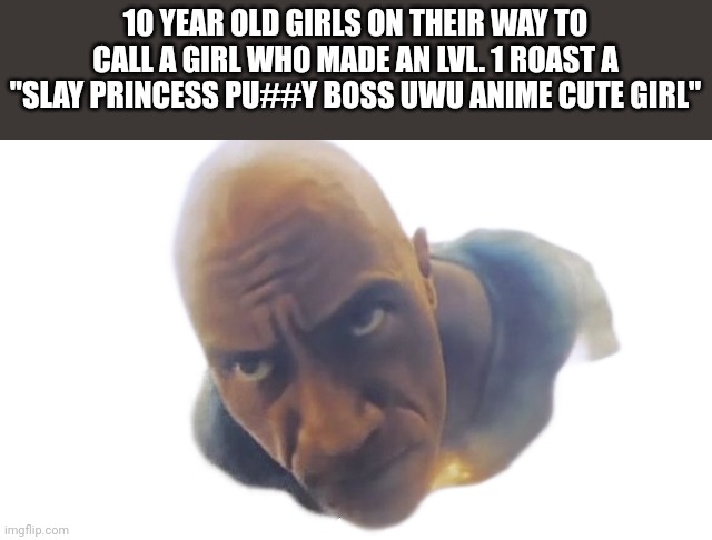 Rock | 10 YEAR OLD GIRLS ON THEIR WAY TO CALL A GIRL WHO MADE AN LVL. 1 ROAST A "SLAY PRINCESS PU##Y BOSS UWU ANIME CUTE GIRL" | image tagged in rock | made w/ Imgflip meme maker