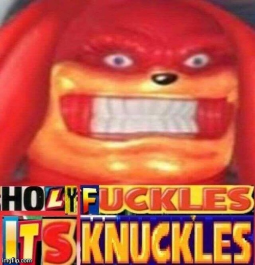 Holy fuckles it's knuckles | image tagged in holy fuckles it's knuckles | made w/ Imgflip meme maker