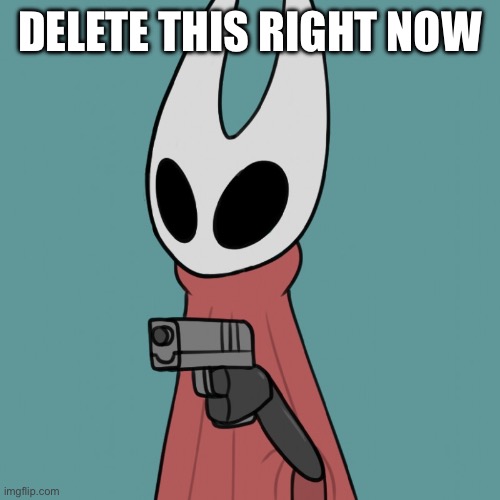 Hornet delet this | DELETE THIS RIGHT NOW | image tagged in hornet delet this | made w/ Imgflip meme maker