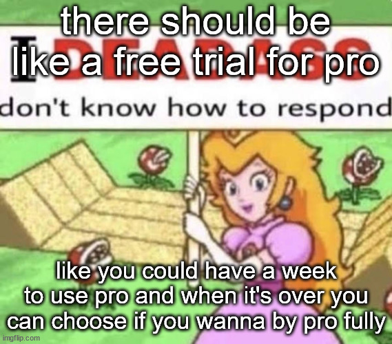 i deadass dont know how to respond | there should be like a free trial for pro; like you could have a week to use pro and when it's over you can choose if you wanna by pro fully | image tagged in i deadass dont know how to respond | made w/ Imgflip meme maker