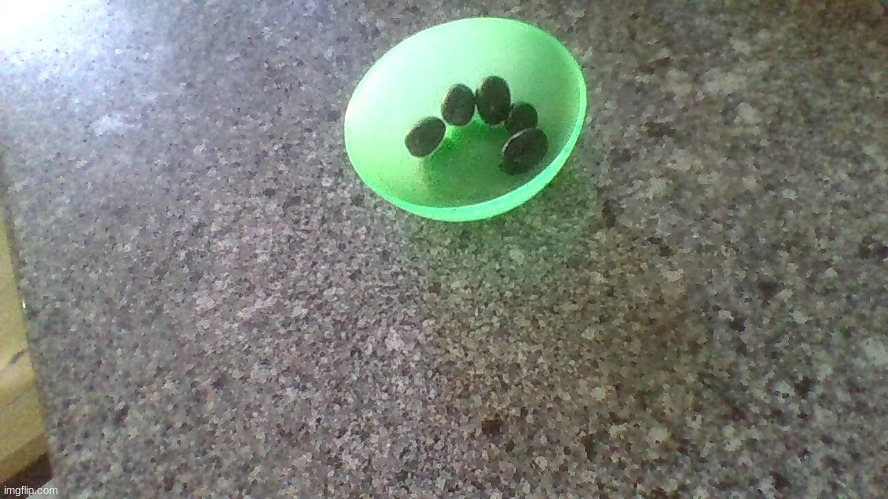 five grapes in a bowl, part 2.2: electric boogaloo, the squeakuel | made w/ Imgflip meme maker