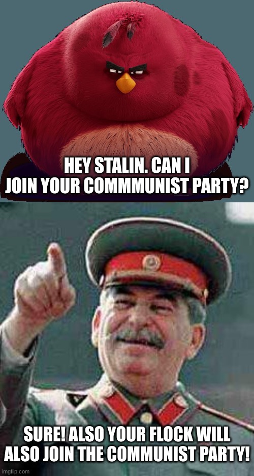 HEY STALIN. CAN I JOIN YOUR COMMMUNIST PARTY? SURE! ALSO YOUR FLOCK WILL ALSO JOIN THE COMMUNIST PARTY! | image tagged in angry birds - terence,stalin says,stalin,joseph stalin,angry birds,team krewfam | made w/ Imgflip meme maker