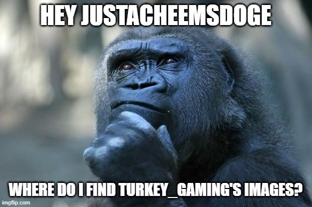 I need to go to his images so I can harass him to get the N word in mod note (or microwave) | HEY JUSTACHEEMSDOGE; WHERE DO I FIND TURKEY_GAMING'S IMAGES? | image tagged in deep thoughts,turkey,memes,funny | made w/ Imgflip meme maker