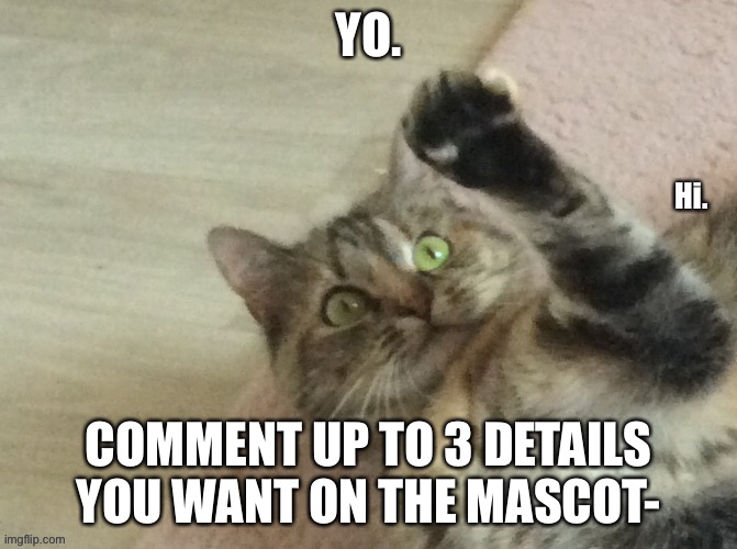 3 each person (hair, eye color, species, props,...) | YO. COMMENT UP TO 3 DETAILS YOU WANT ON THE MASCOT- | image tagged in hi yoda | made w/ Imgflip meme maker