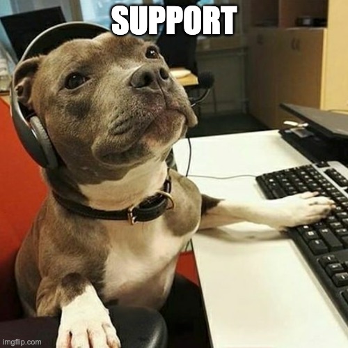 pit bull tech support | SUPPORT | image tagged in pit bull tech support | made w/ Imgflip meme maker
