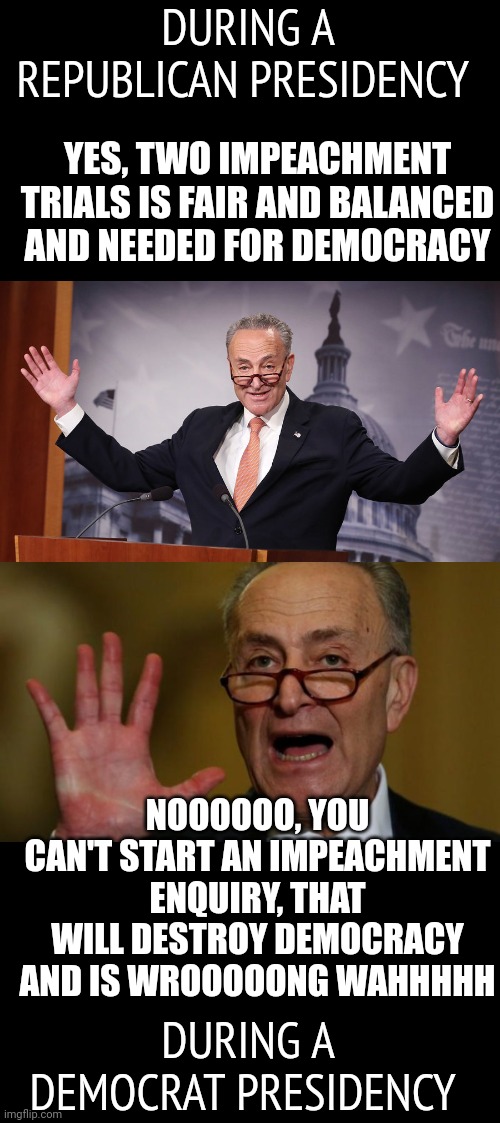 Shut the fu@k up, Schumer, you scumbag | DURING A REPUBLICAN PRESIDENCY; YES, TWO IMPEACHMENT TRIALS IS FAIR AND BALANCED AND NEEDED FOR DEMOCRACY; NOOOOOO, YOU CAN'T START AN IMPEACHMENT ENQUIRY, THAT WILL DESTROY DEMOCRACY AND IS WROOOOONG WAHHHHH; DURING A DEMOCRAT PRESIDENCY | image tagged in chuck schumer,scumbag | made w/ Imgflip meme maker