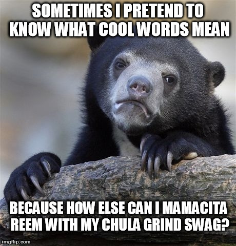 Confession Bear | SOMETIMES I PRETEND TO KNOW WHAT COOL WORDS MEAN BECAUSE HOW ELSE CAN I MAMACITA REEM WITH MY CHULA GRIND SWAG? | image tagged in memes,confession bear | made w/ Imgflip meme maker