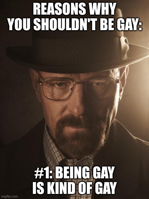 this is a joke. complete joke | REASONS WHY YOU SHOULDN'T BE GAY:; #1: BEING GAY IS KIND OF GAY | image tagged in walter white | made w/ Imgflip meme maker