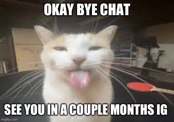 Cat | OKAY BYE CHAT; SEE YOU IN A COUPLE MONTHS IG | image tagged in cat | made w/ Imgflip meme maker