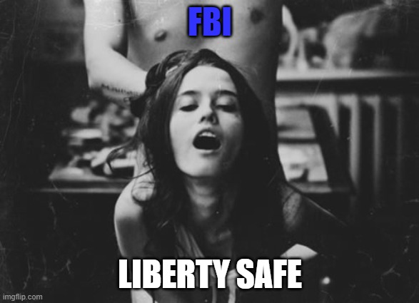 Safe-D | FBI; LIBERTY SAFE | image tagged in doggy style | made w/ Imgflip meme maker